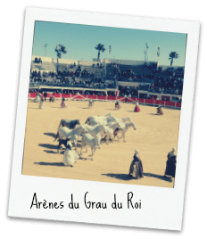arenes